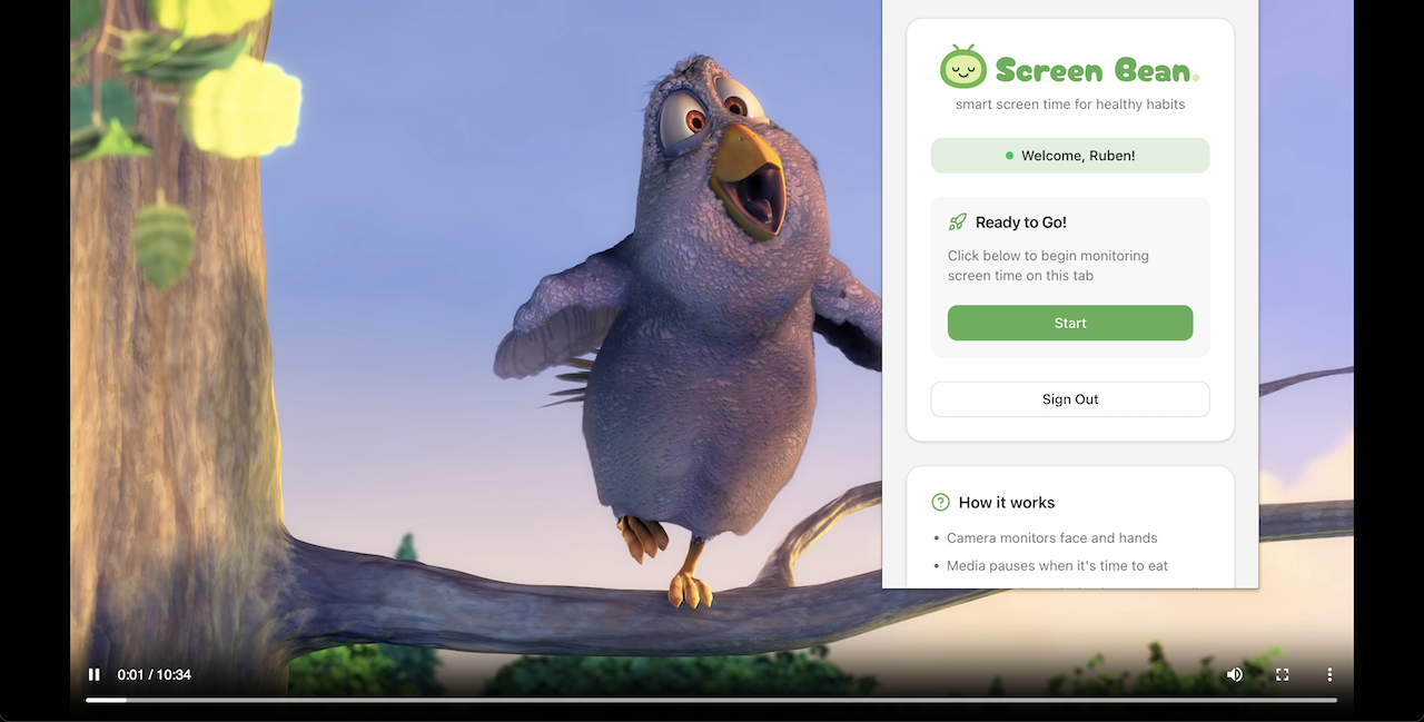 Screen Bean How To Video